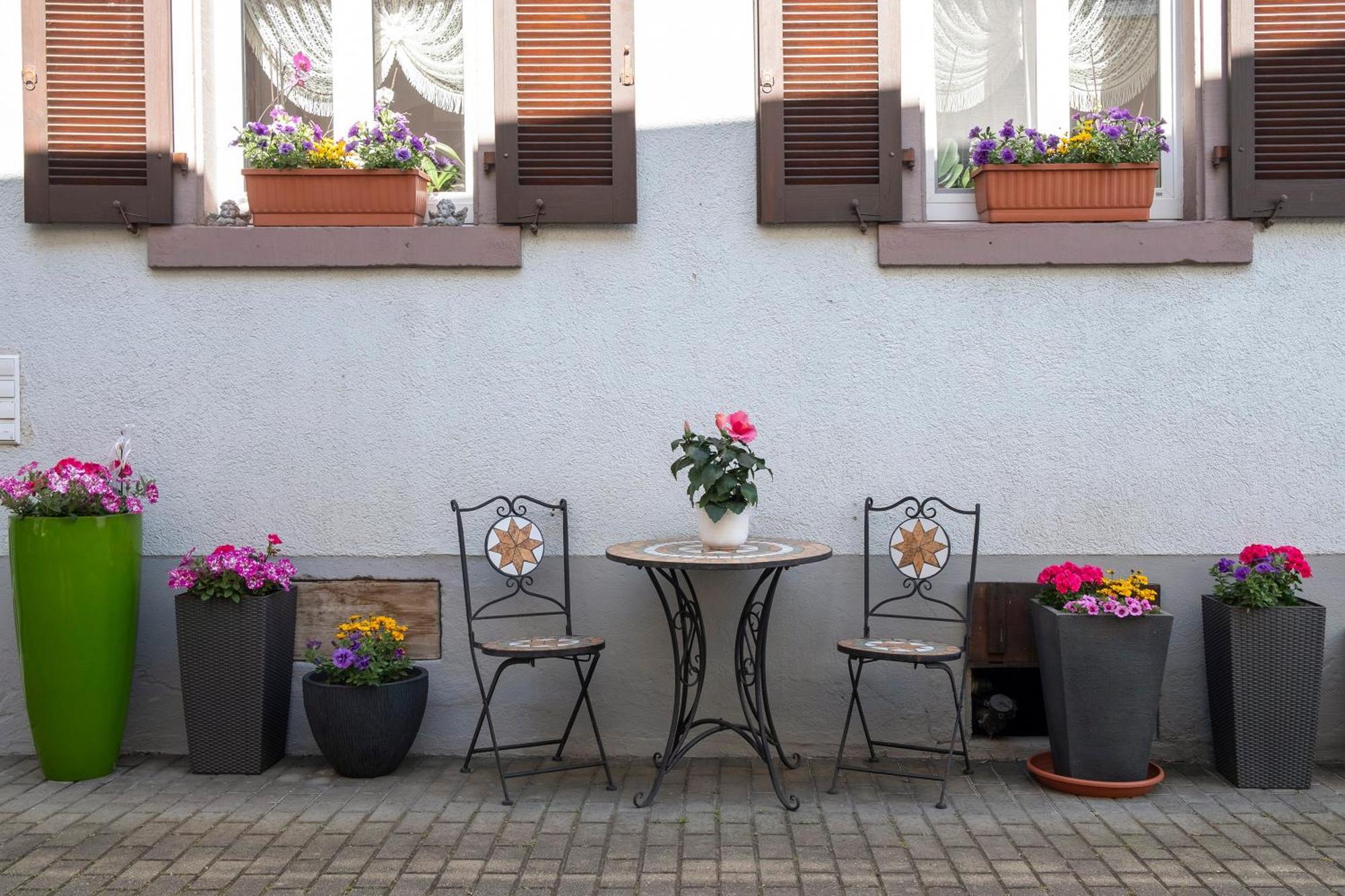 Ferienwohnung Fliegerhorst Endingen am Kaiserstuhl Exterior foto